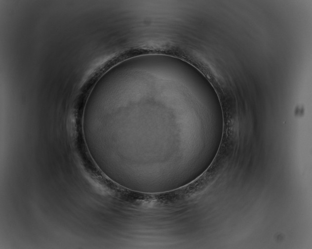 X0000102010688200807181228