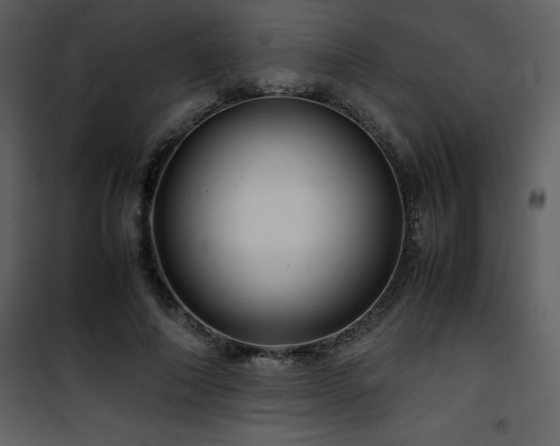 X0000102010690200807181228