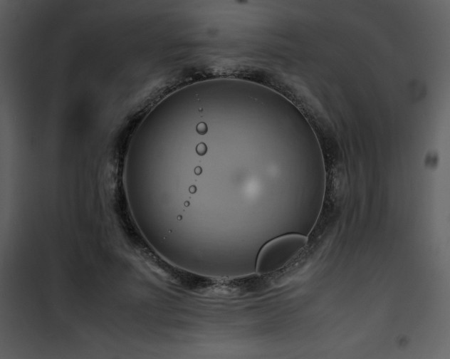 X0000102010691200807181228