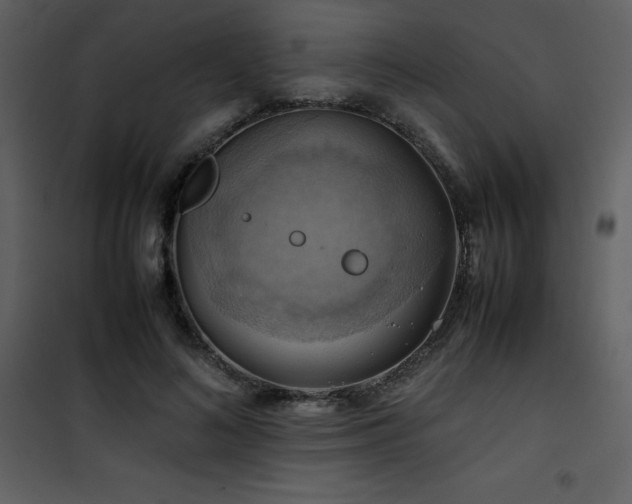 X0000102010692200807181228