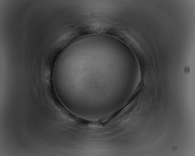 X0000102010693200807181228