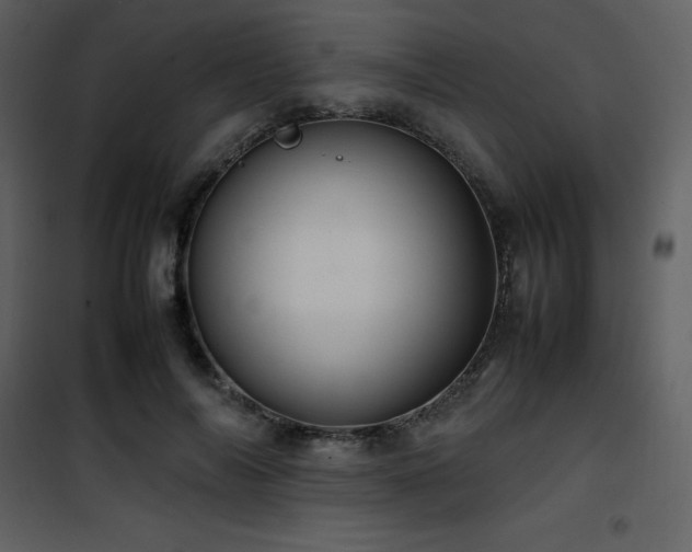 X0000102010694200807181228