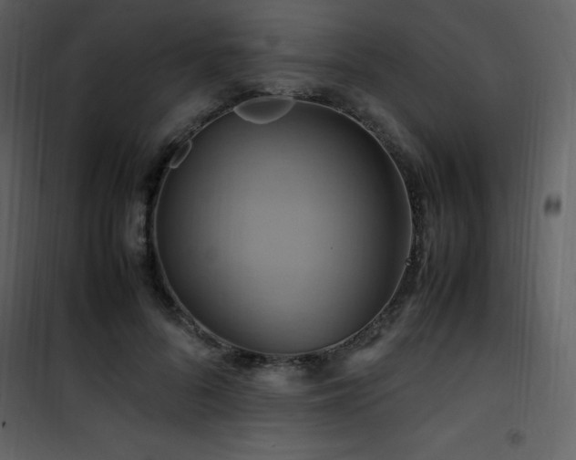 X0000102010696200807181228