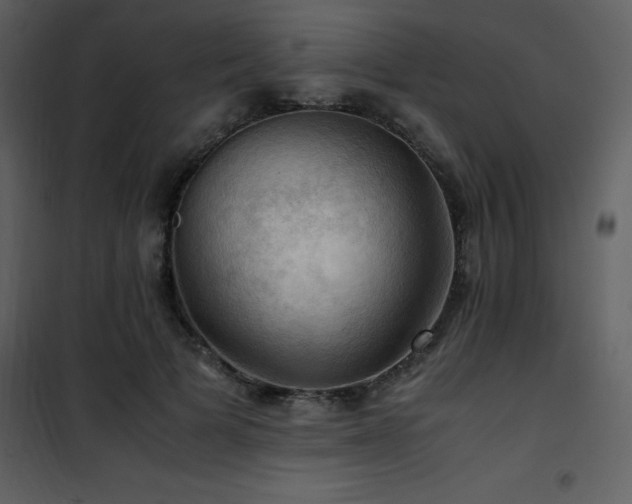 X0000102010697200807181228