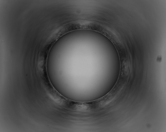 X0000102010698200807181228