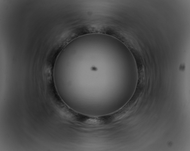 X0000102010699200807181228