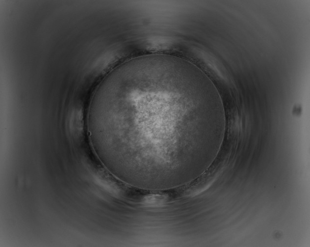 X0000102010700200807181228