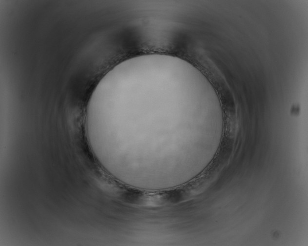 X0000102010701200807181228