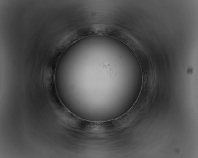 X0000102010702200807181228