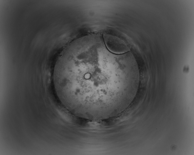 X0000102010703200807181228