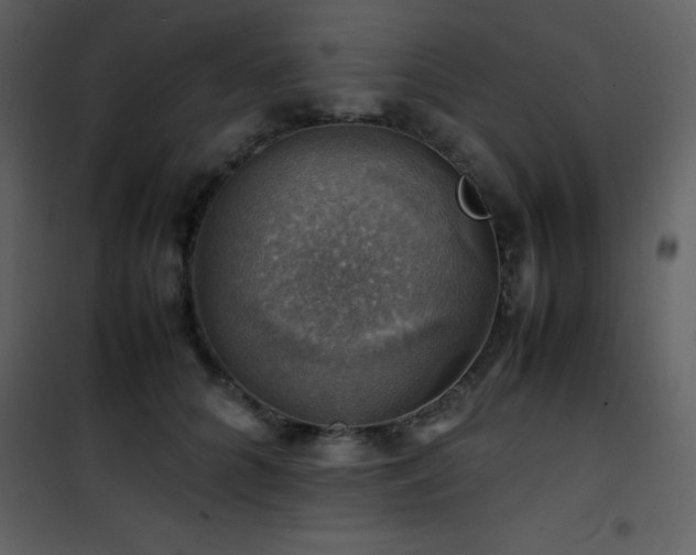 X0000102010704200807181228