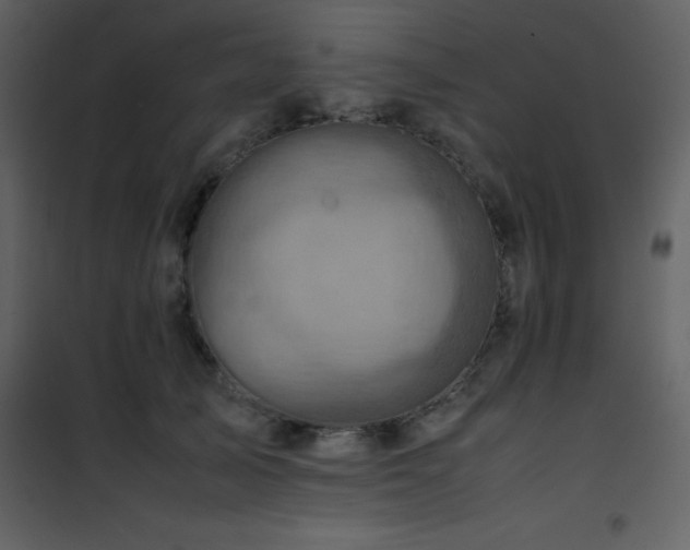 X0000102010705200807181228