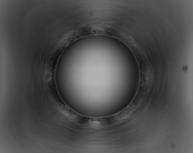 X0000102010706200807181228