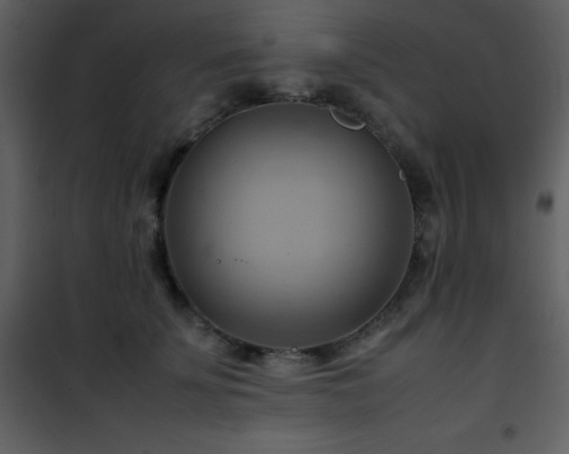 X0000102010707200807181228