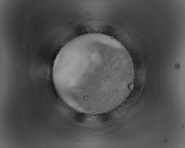 X0000102010709200807181228