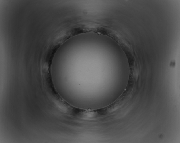 X0000102010711200807181228