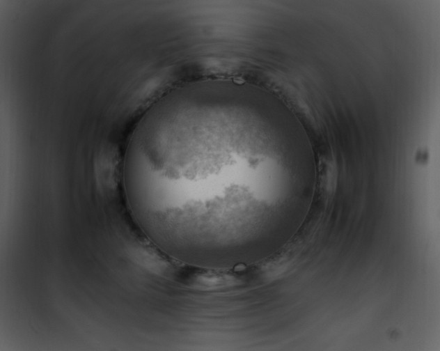 X0000102010712200807181228