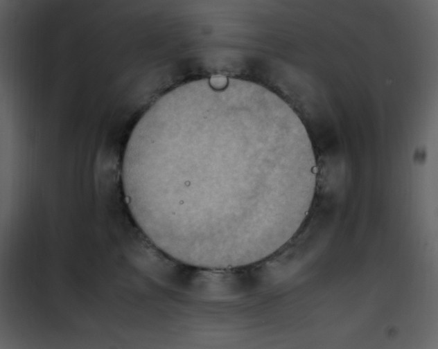 X0000102010713200807181228