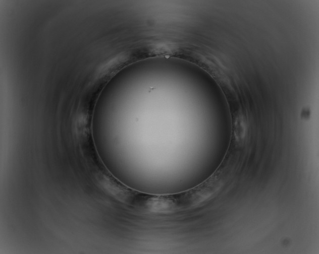 X0000102010714200807181228