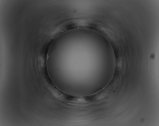 X0000102010715200807181228