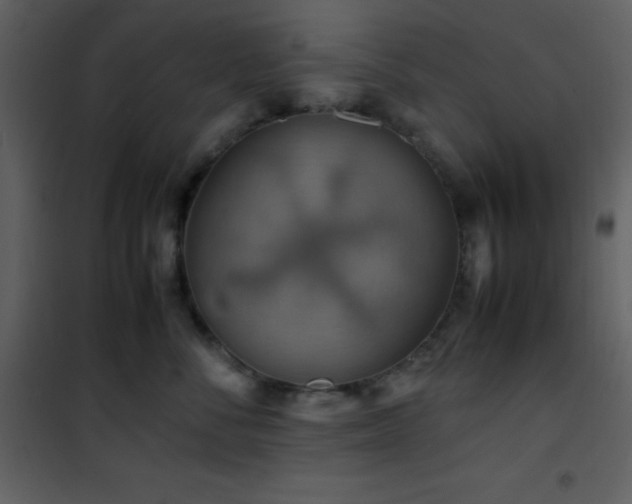 X0000102010716200807181228
