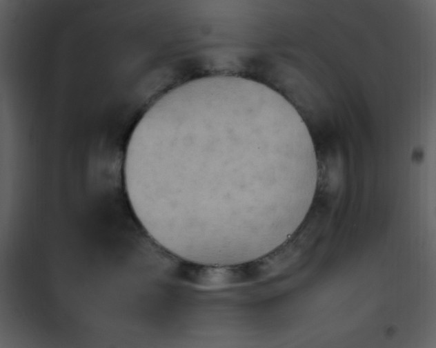 X0000102010717200807181228