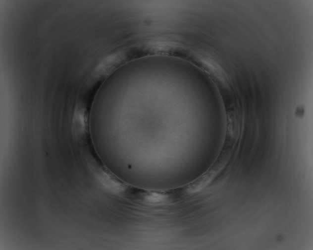 X0000102010718200807181228