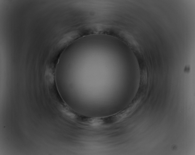 X0000102010719200807181228