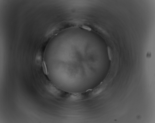X0000102010720200807181228