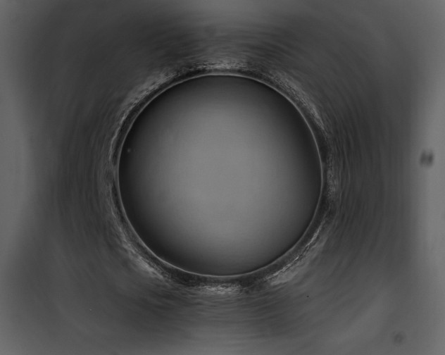 X0000102010721200807181227