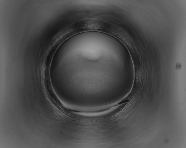 X0000102010722200807181227