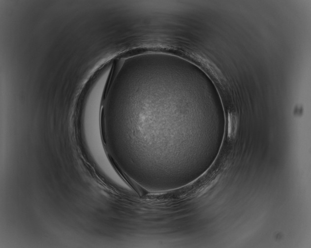 X0000102010723200807181227