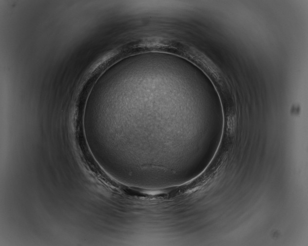 X0000102010724200807181227