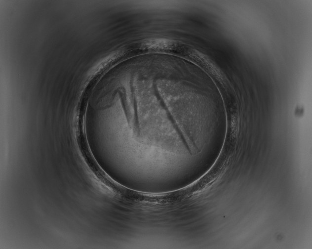 X0000102010725200807181227
