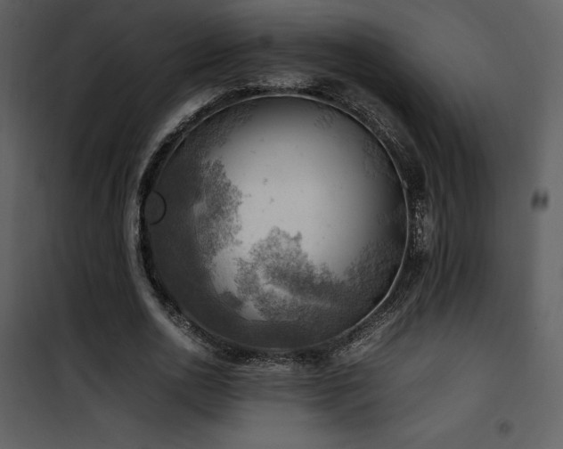 X0000102010726200807181227