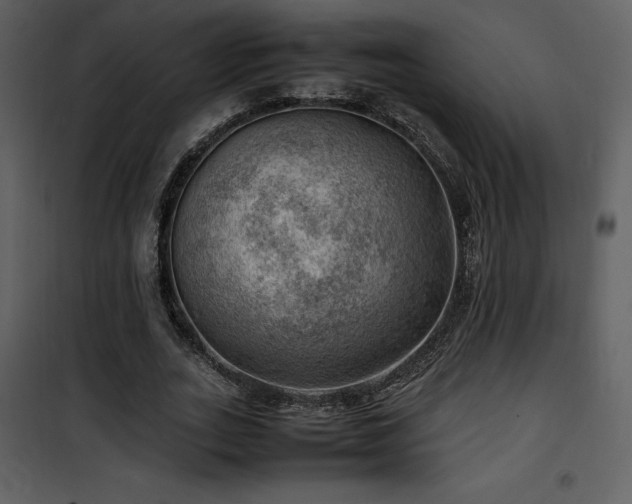 X0000102010727200807181227