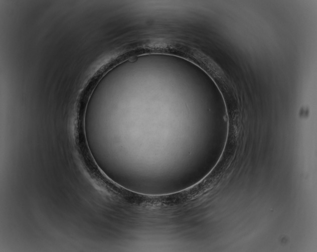 X0000102010728200807181227