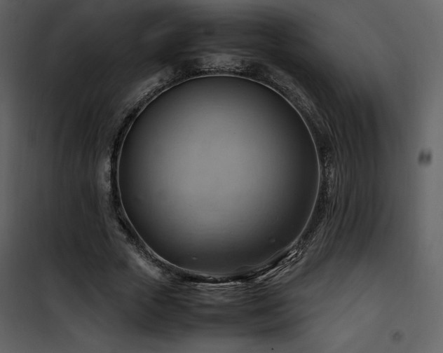 X0000102010729200807181227