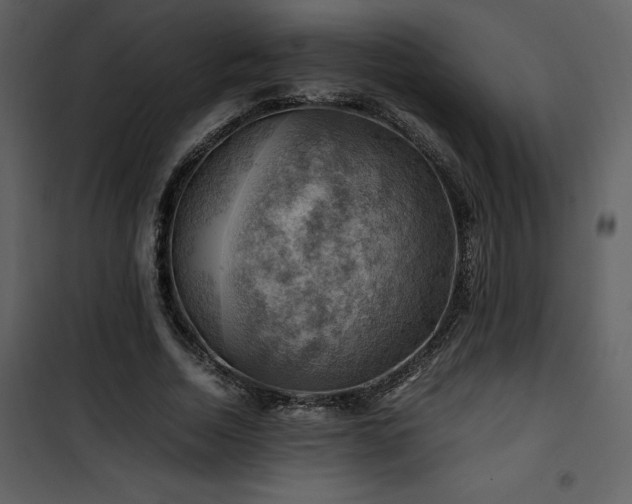 X0000102010730200807181227