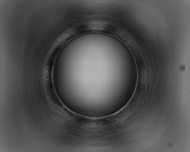 X0000102010731200807181227