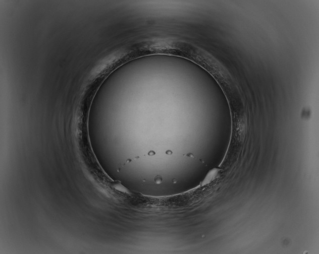 X0000102010732200807181228