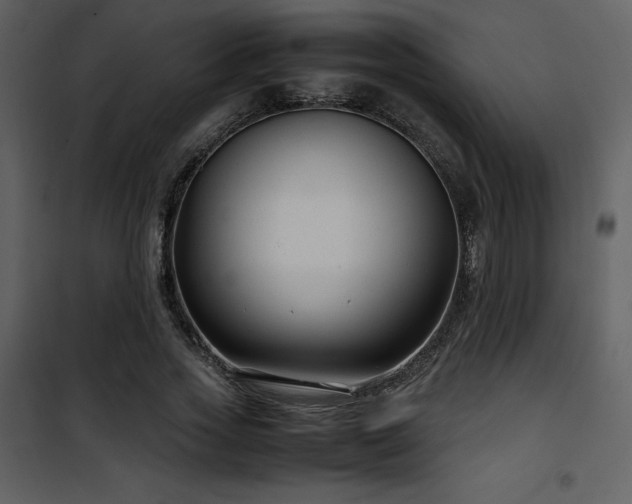 X0000102010733200807181228