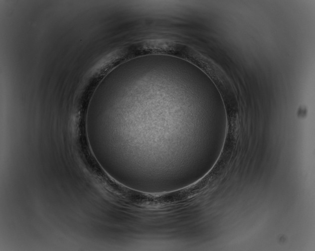 X0000102010735200807181228