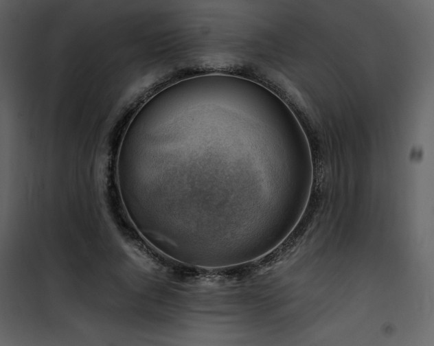X0000102010736200807181228