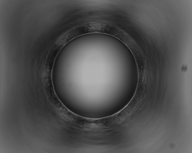 X0000102010737200807181228