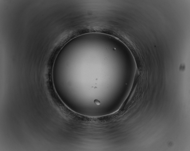 X0000102010738200807181228