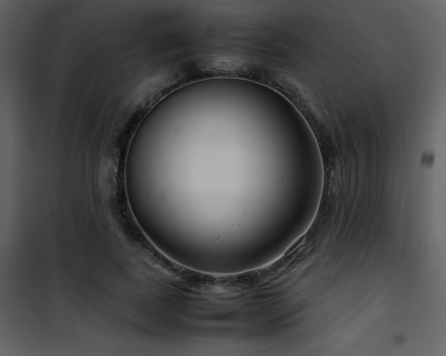 X0000102010739200807181228