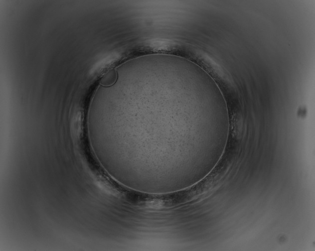 X0000102010740200807181228