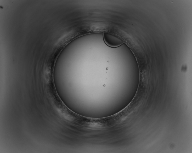 X0000102010741200807181228