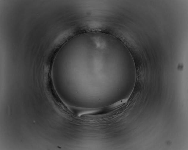 X0000102010742200807181228